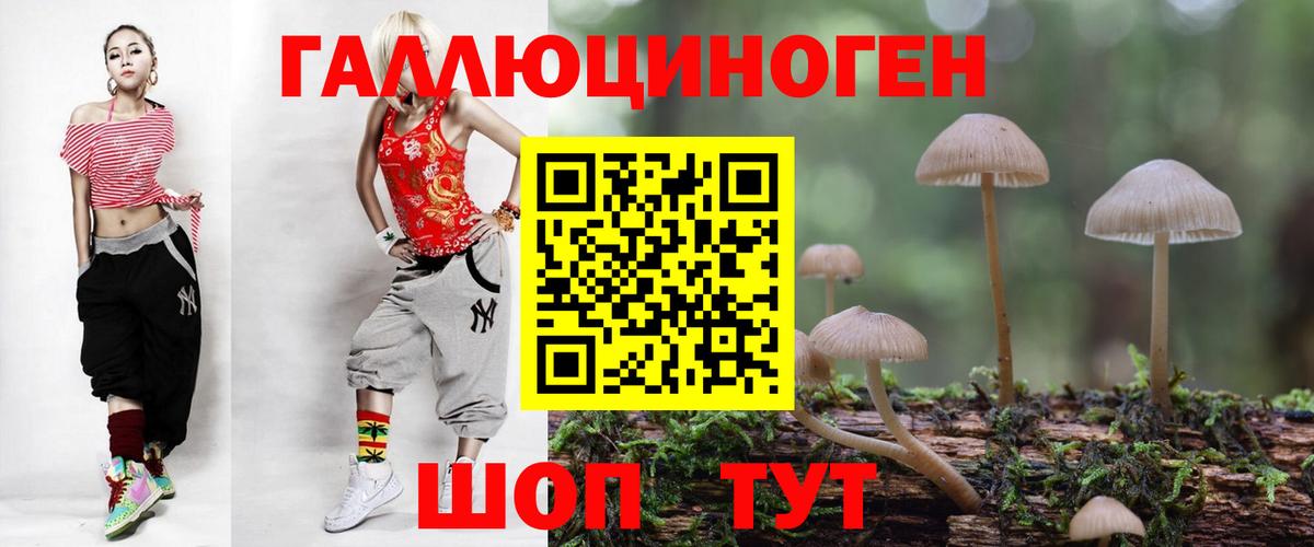 где найти наркотики  Галлюциногенные грибы Psilocybine cubensis  Вход с VPN  Кунгур 